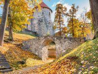 Cēsis Castle