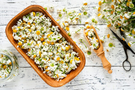 Chamomile Flowers Jigsaw Puzzle