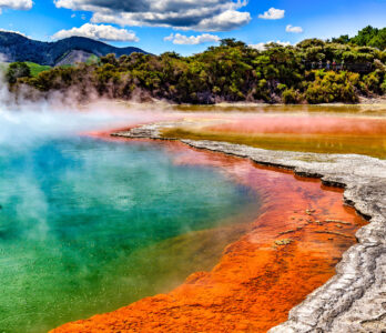 Champagne Pool Jigsaw Puzzle