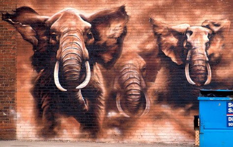 Charging Elephants Jigsaw Puzzle