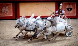 Chariot Race