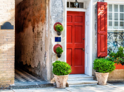 Charleston Door Jigsaw Puzzle