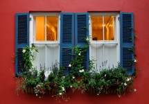 Charleston Windows