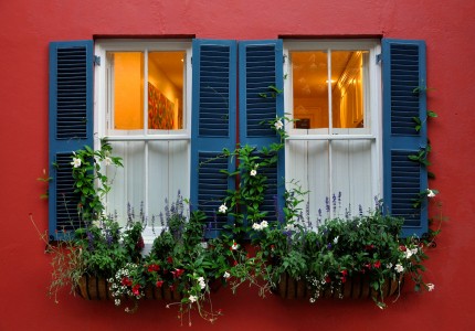 Charleston Windows Jigsaw Puzzle