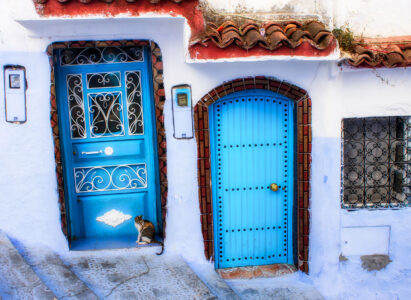 Chefchaouen Cat Jigsaw Puzzle