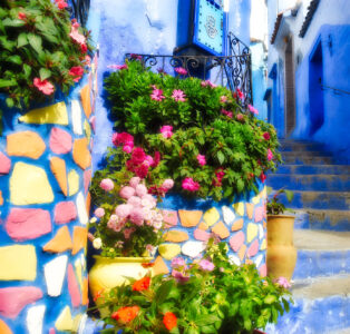 Chefchaouen Flowers Jigsaw Puzzle