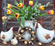 Chickens and Tulips