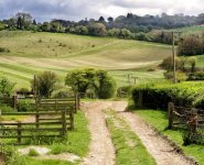 Chiltern Hills Farm