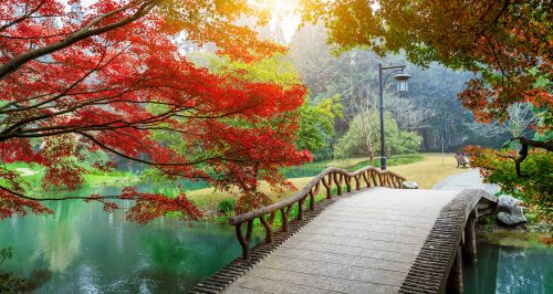 Chinese Park Jigsaw Puzzle
