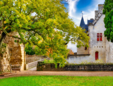 Chinon Castle Jigsaw Puzzle