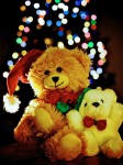 Christmas Bears
