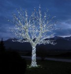 Unique Christmas Tree