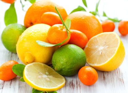 Citrus Variety Jigsaw Puzzle