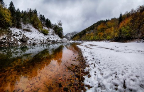Clear River Jigsaw Puzzle