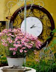Clock and Flowers