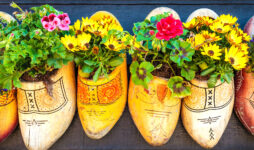 Clog Planters