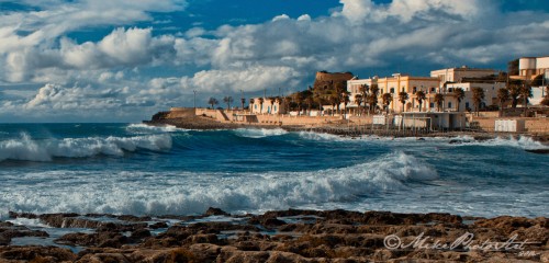 Coastal Surf Jigsaw Puzzle