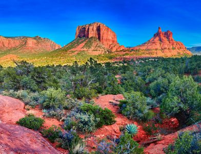 Coconino Forest Jigsaw Puzzle