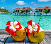 Coconuts in Paradise Jigsaw Puzzle