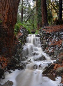 Codornices Creek Jigsaw Puzzle