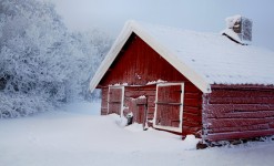 Cold Hut