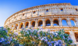 Coliseum and Flowers