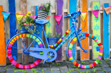 Colorful Cruiser