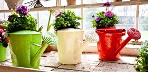 Colorful Watering Cans