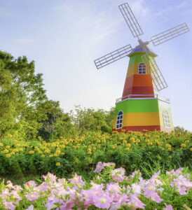 Colorful Windmill Jigsaw Puzzle