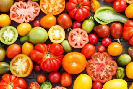 Colors of Tomato Jigsaw Puzzle