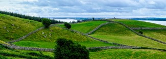 Connemara Fences