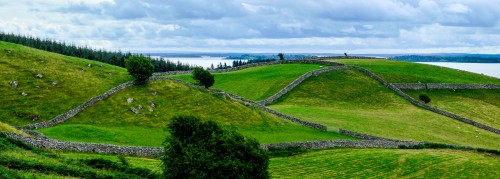 Connemara Fences Jigsaw Puzzle