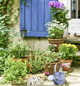 Container Garden Jigsaw Puzzle