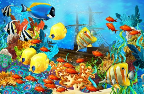 Coral Reef Jigsaw Puzzle