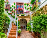 Cordoba Courtyard