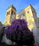 Corfu Colors