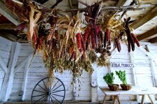 Corn Shed