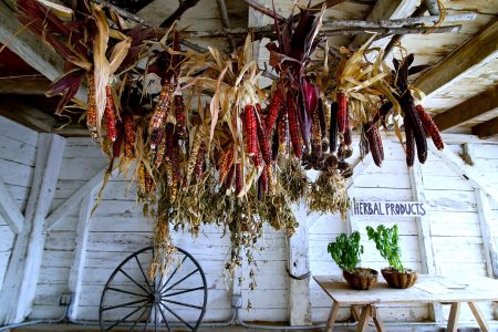 Corn Shed Jigsaw Puzzle