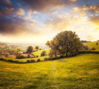 Cotswold Landscape Jigsaw Puzzle