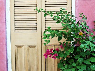 Cottage Door Jigsaw Puzzle