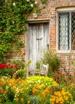 Cottage Garden