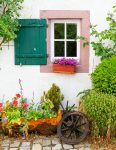 Cottage Window