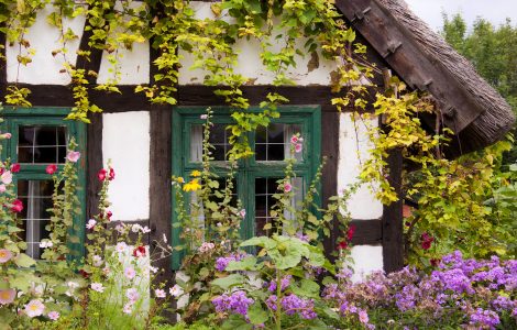 Cottage Windows Jigsaw Puzzle