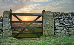 Country Gate