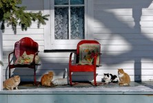 Country Porch