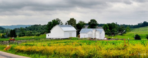 County House Lane Jigsaw Puzzle