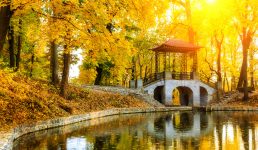 Covered Footbridge