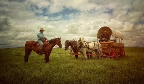 Cowboys Jigsaw Puzzle