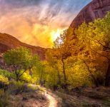 Coyote Gulch