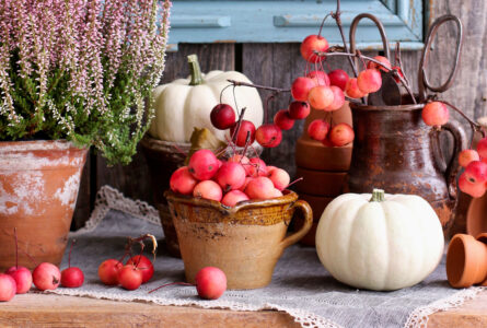 Crabapples Jigsaw Puzzle